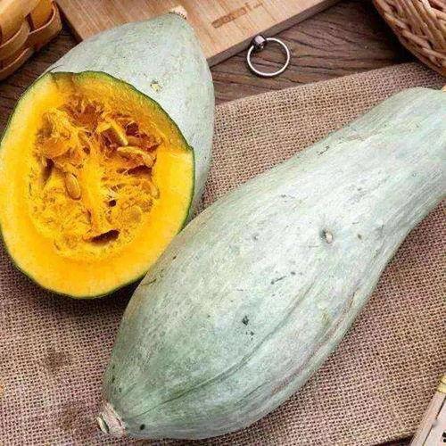 金翅瓜怎么吃,探索美味与营养的完美结合