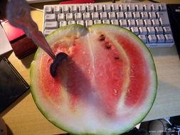 山哥吃瓜,揭秘娱乐圈那些不为人知的幕后故事