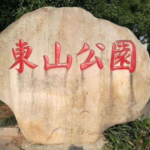 东山公园吃瓜事件,一场引发热议的公共冲突