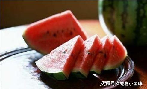 吃瓜老蒯,揭秘娱乐圈那些不为人知的幕后故事