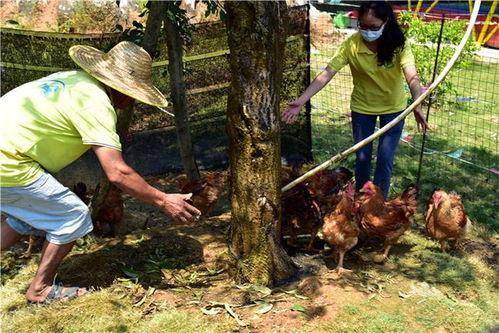 吃鸡瓜比赛,竞技与趣味并存的电竞盛宴