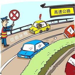 红河县吃瓜,瓜果飘香，品味民俗风情