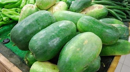 吃瓜变成卖瓜的小说推荐,我的卖瓜传奇