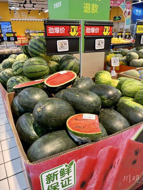 海口市吃瓜论坛,热议本地新鲜事，一网打尽街头巷尾趣闻