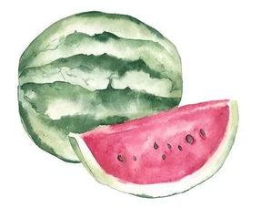 吃瓜之衫,揭秘娱乐圈背后的那些事儿