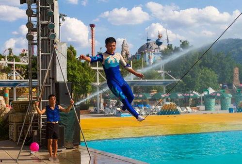 吃瓜冲浪群,揭秘网络社交的狂欢盛宴