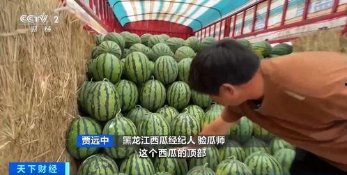 吃瓜首业,揭秘娱乐圈幕后风云