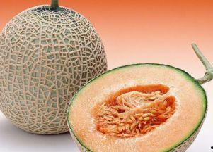 淑贤吃哈密瓜,淑贤的哈密瓜美食之旅