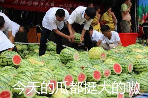 11月28号吃瓜,一场吃瓜盛宴背后的故事