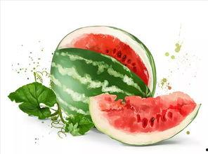 幸福吃瓜,揭秘美食背后的幸福密码