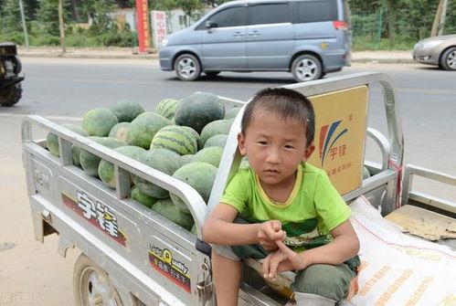 不去别人家吃瓜,独立吃瓜，我的生活我做主