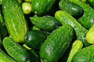 梦梦子吃瓜,揭秘娱乐圈背后的秘密与真相