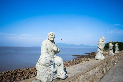 吃瓜莲花岛,一场网络狂欢背后的真相