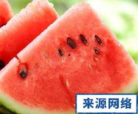 吃小瓜会发胖,吃小瓜真的会发胖吗？揭秘瓜类食物的真相