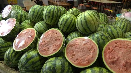 都有什么吃的瓜,盘点各式各样的美味瓜果