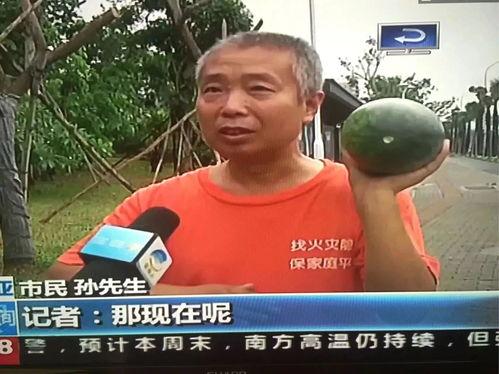 吃瓜事件死人,一人生死，警示网络暴力