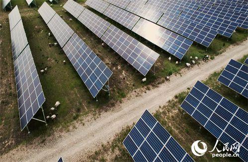 光伏地桩吃瓜,绿色能源的坚实基石，吃瓜群众的环保新选择