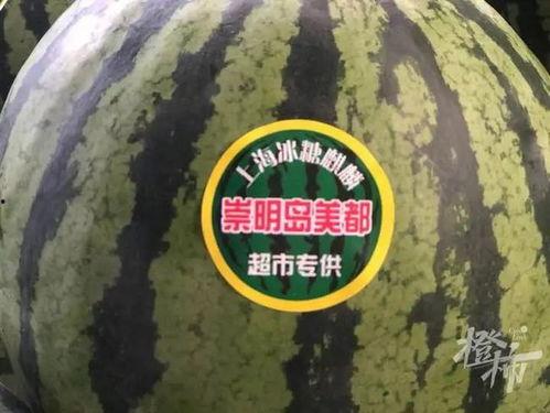 吃瓜表示数字几,数字背后的秘密