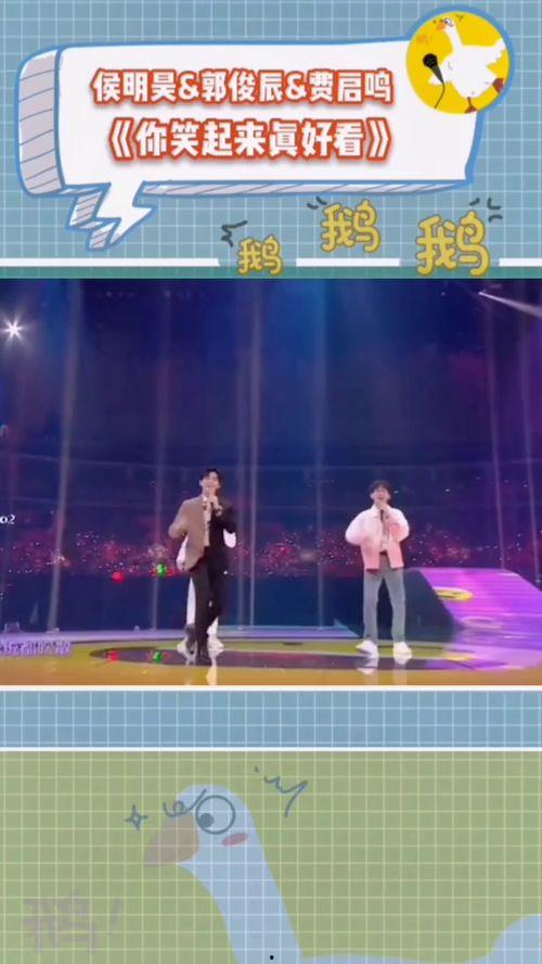 综艺吃瓜鹅说句,揭秘娱乐圈幕后故事