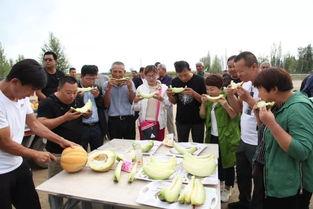 吃老汉瓜图片大全,趣味盎然的田园生活瞬间