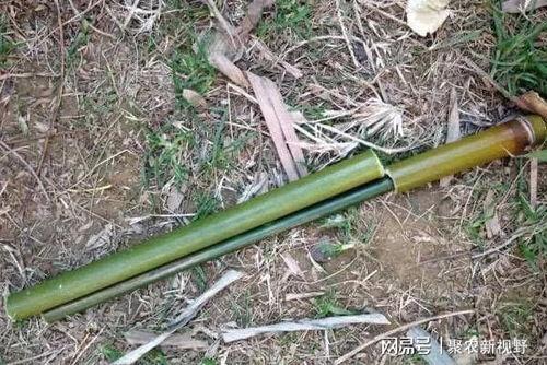 铁锹吃瓜神器图片,创意新玩法，夏日清凉新体验