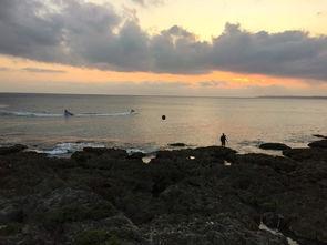 吃瓜湾湾资源,网络红人聚集地的幕后故事