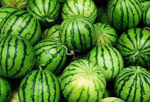 吃小瓜会发烧,揭秘吃瓜发烧的神奇现象