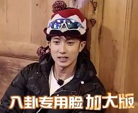 女主吃瓜吃疯了,女主的疯狂吃瓜之旅