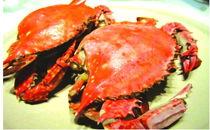 吃飞蟹可以吃瓜吗,畅享美食与瓜果同欢