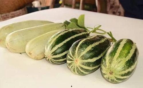 摘瓜比吃瓜还甜的说说,比吃瓜更甜蜜的收获时刻