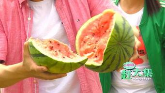 天津静海吃瓜爆料