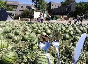 央美 吃瓜群众,吃瓜群众揭秘艺术界热点事件